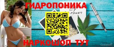 ALPHA PVP Севастополь